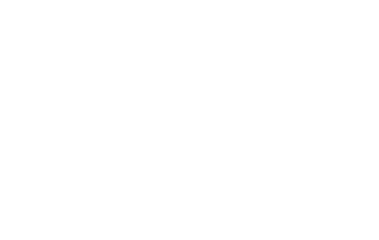 /white-logo.webp
